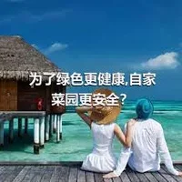 为了绿色更健康,自家菜园更安全？