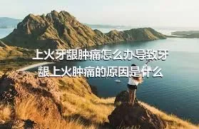 上火牙龈肿痛怎么办导致牙龈上火肿痛的原因是什么