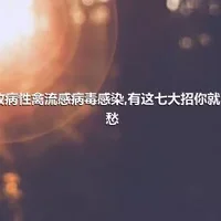 高致病性禽流感病毒感染,有这七大招你就不用愁