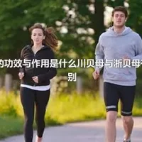 浙贝母的功效与作用是什么川贝母与浙贝母有什么区别