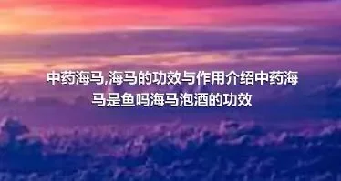 中药海马,海马的功效与作用介绍中药海马是鱼吗海马泡酒的功效