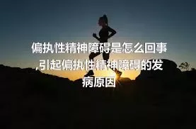 偏执性精神障碍是怎么回事,引起偏执性精神障碍的发病原因