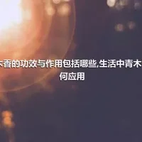 青木香的功效与作用包括哪些,生活中青木香如何应用