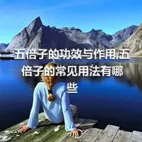 五倍子的功效与作用,五倍子的常见用法有哪些