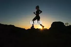 纵隔膜