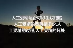 人工受精是否可以生双胞胎,人工受精的费用是多少,人工受精的过程,人工受精的坏处