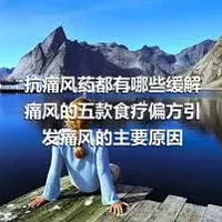 抗痛风药都有哪些缓解痛风的五款食疗偏方引发痛风的主要原因