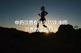 中药沉香有什么功效,中药沉香的实用知识