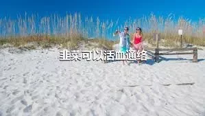 韭菜可以活血通络