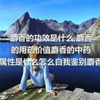 麝香的功效是什么,麝香的用药价值麝香的中药属性是什么怎么自我鉴别麝香