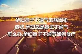 孕妇鼻子不通气的病因和症状,孕妇总是鼻子不通气怎么办,孕妇鼻子不通气如何食疗