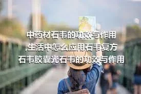 中药材石韦的功效与作用,生活中怎么应用石韦复方石韦胶囊光石韦的功效与作用