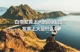 白带发黄上火的原因,白带发黄上火是什么病