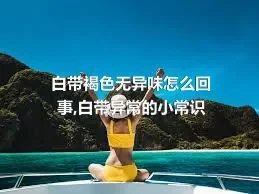 白带褐色无异味怎么回事,白带异常的小常识