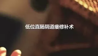 低位直肠阴道瘘修补术