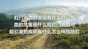 肛门流血的原因有什么肛门出血的危害是什么呢肛门流血可能引发的疾病有什么怎么样预防肛门出血