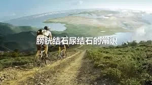 膀胱结石尿结石的常识