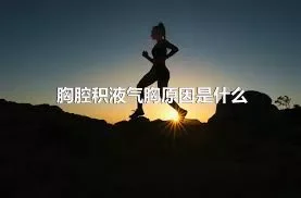 胸腔积液气胸原因是什么