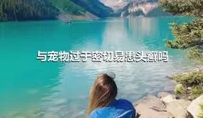 与宠物过于密切易患头癣吗