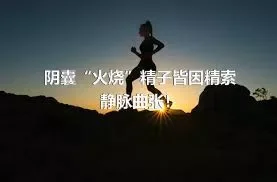 阴囊“火烧”精子皆因精索静脉曲张！