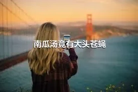 南瓜汤竟有大头苍蝇