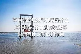 苹果醋的功效和作用是什么,苹果醋为什么能够减肥苹果醋有什么功效和作用