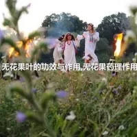 无花果叶的功效与作用,无花果药理作用