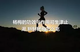 杨梅的功效与作用可生津止渴,新鲜杨梅怎么吃