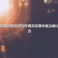 无花果叶的功效与作用无花果中医治病小偏方