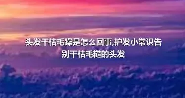 头发干枯毛躁是怎么回事,护发小常识告别干枯毛糙的头发