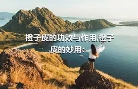 橙子皮的功效与作用,橙子皮的妙用：