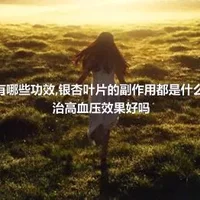 银杏叶片有哪些功效,银杏叶片的副作用都是什么,银杏叶片治高血压效果好吗