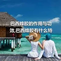 巴西蜂胶的作用与功效,巴西蜂胶有什么特点