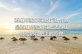 西红柿酸奶减肥方法,什么是西红柿酸奶减肥法西红柿酸奶减肥法的原理