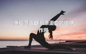 鱼胶原蛋白,胶原蛋白的护肤作用