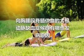 向胸腰段脊髓供血的大根动脉缺血症候群有哪些发病原因