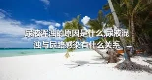 尿液浑浊的原因是什么,尿液混浊与尿路感染有什么关系