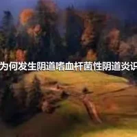 为何发生阴道嗜血杆菌性阴道炎识