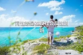 同性恋是在反社会反性别吗