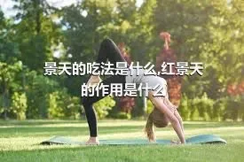 景天的吃法是什么,红景天的作用是什么