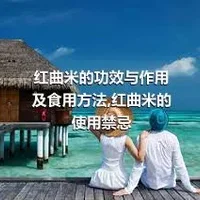 红曲米的功效与作用及食用方法,红曲米的使用禁忌