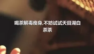 喝茶解毒瘦身,不妨试试天目湖白茶茶