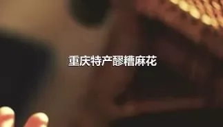 重庆特产醪糟麻花