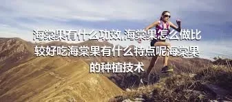 海棠果有什么功效,海棠果怎么做比较好吃海棠果有什么特点呢海棠果的种植技术