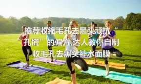 推荐收缩毛孔去黑头顽抗“孔慌”的偏方,达人教你自制收毛孔去黑头补水面膜