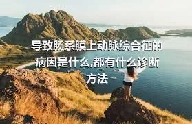 导致肠系膜上动脉综合征的病因是什么,都有什么诊断方法