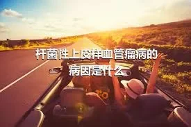 杆菌性上皮样血管瘤病的病因是什么