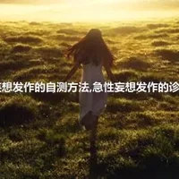 急性妄想发作的自测方法,急性妄想发作的诊断要点