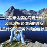 埃里希体病的病因是什么啊,埃里希体病的诊断方法是什么,埃里希体病的症状是什么啊