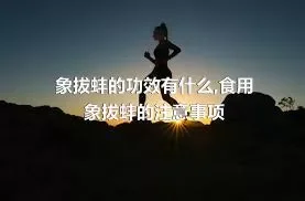 象拔蚌的功效有什么,食用象拔蚌的注意事项